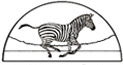 Zeducorp Zebra